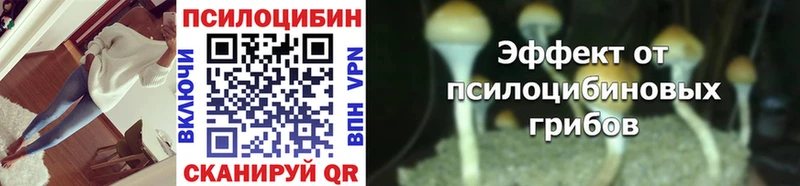 закладка  Невельск  Псилоцибиновые грибы мицелий 